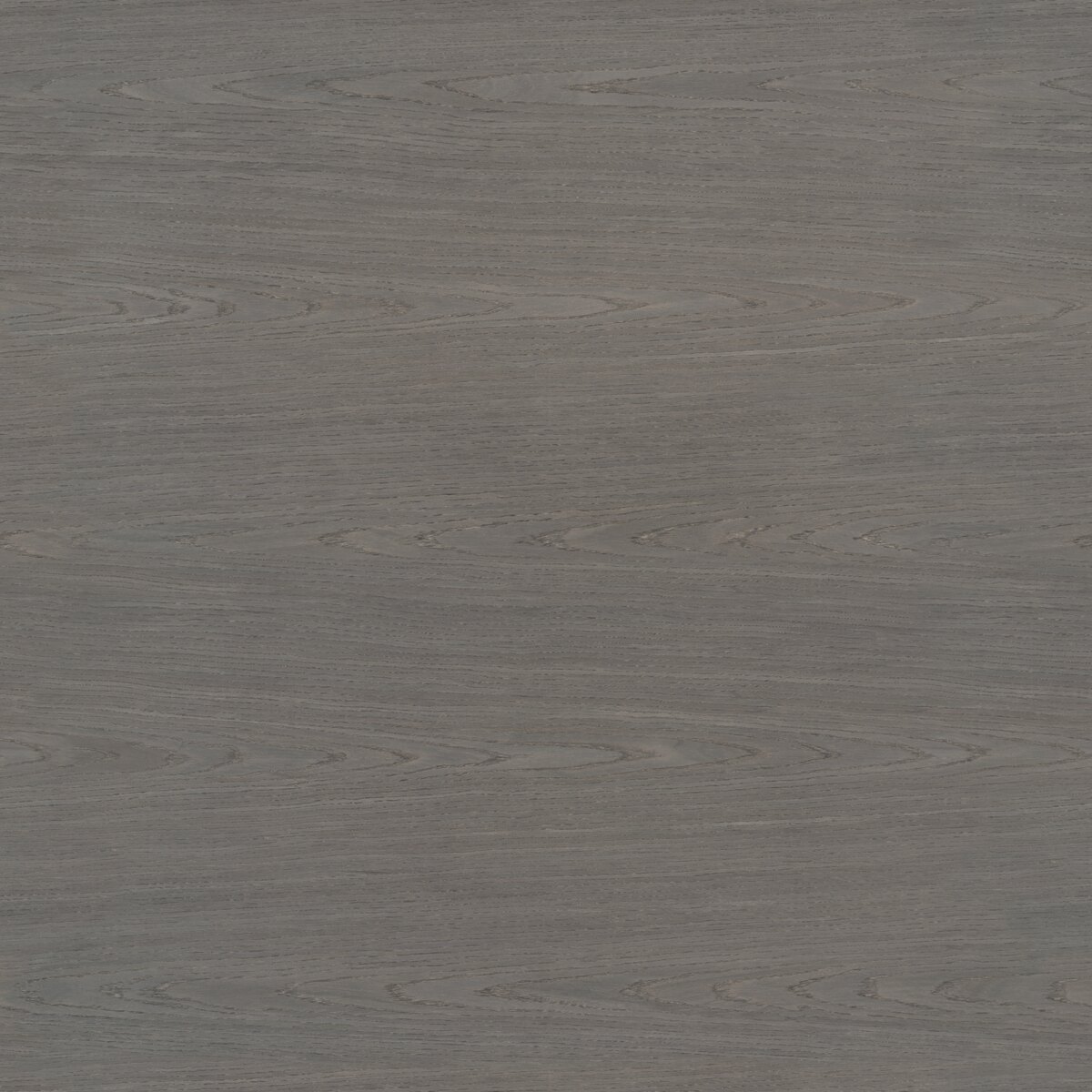 American Walnut Veneer Texture