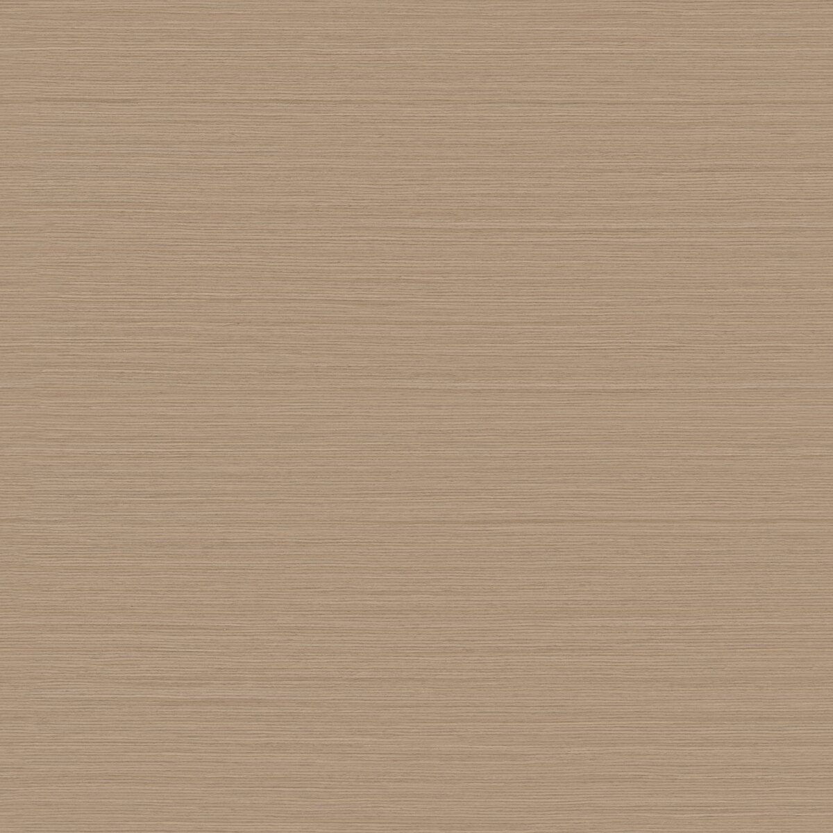 Ash Veneer Texture