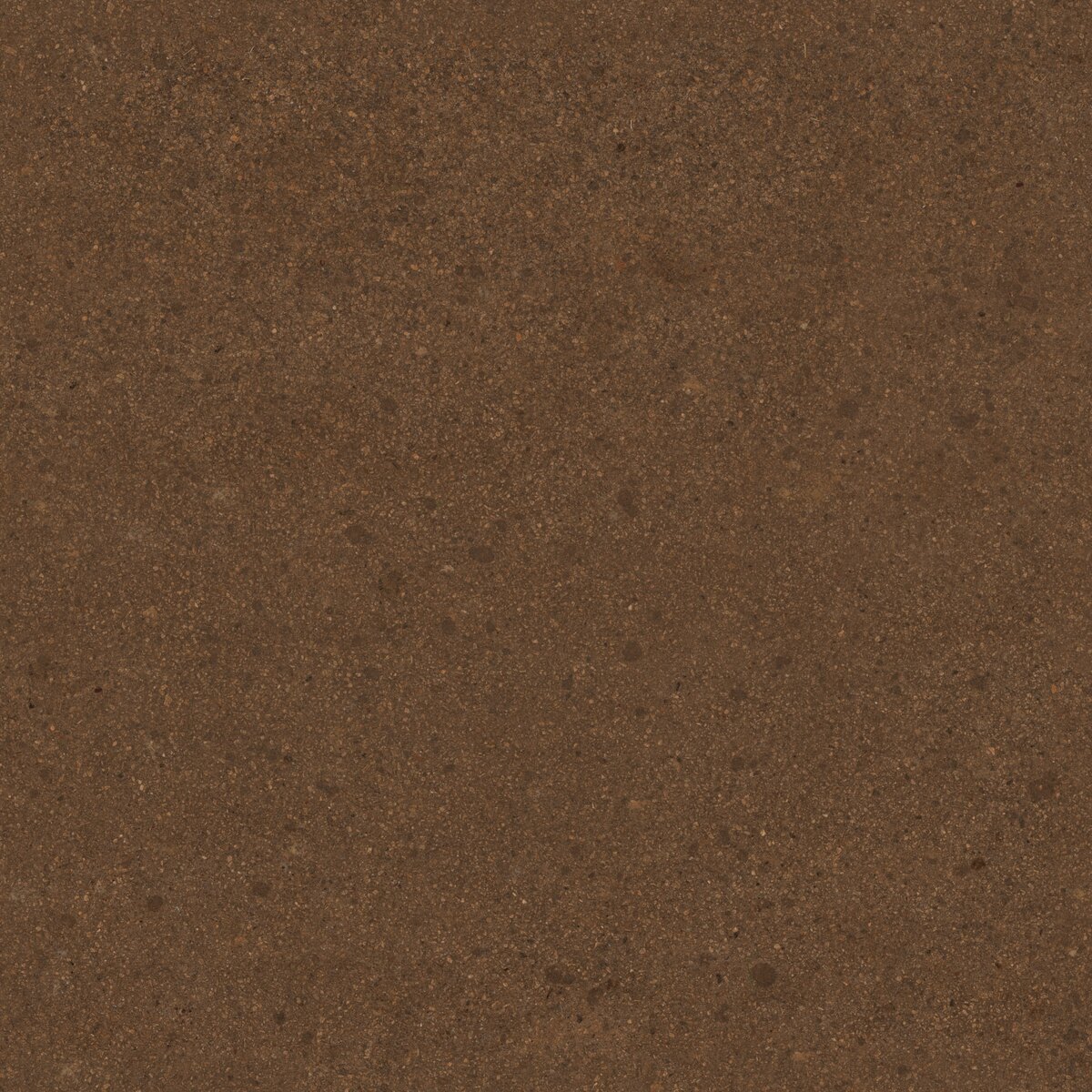 Asphalt 05 Texture