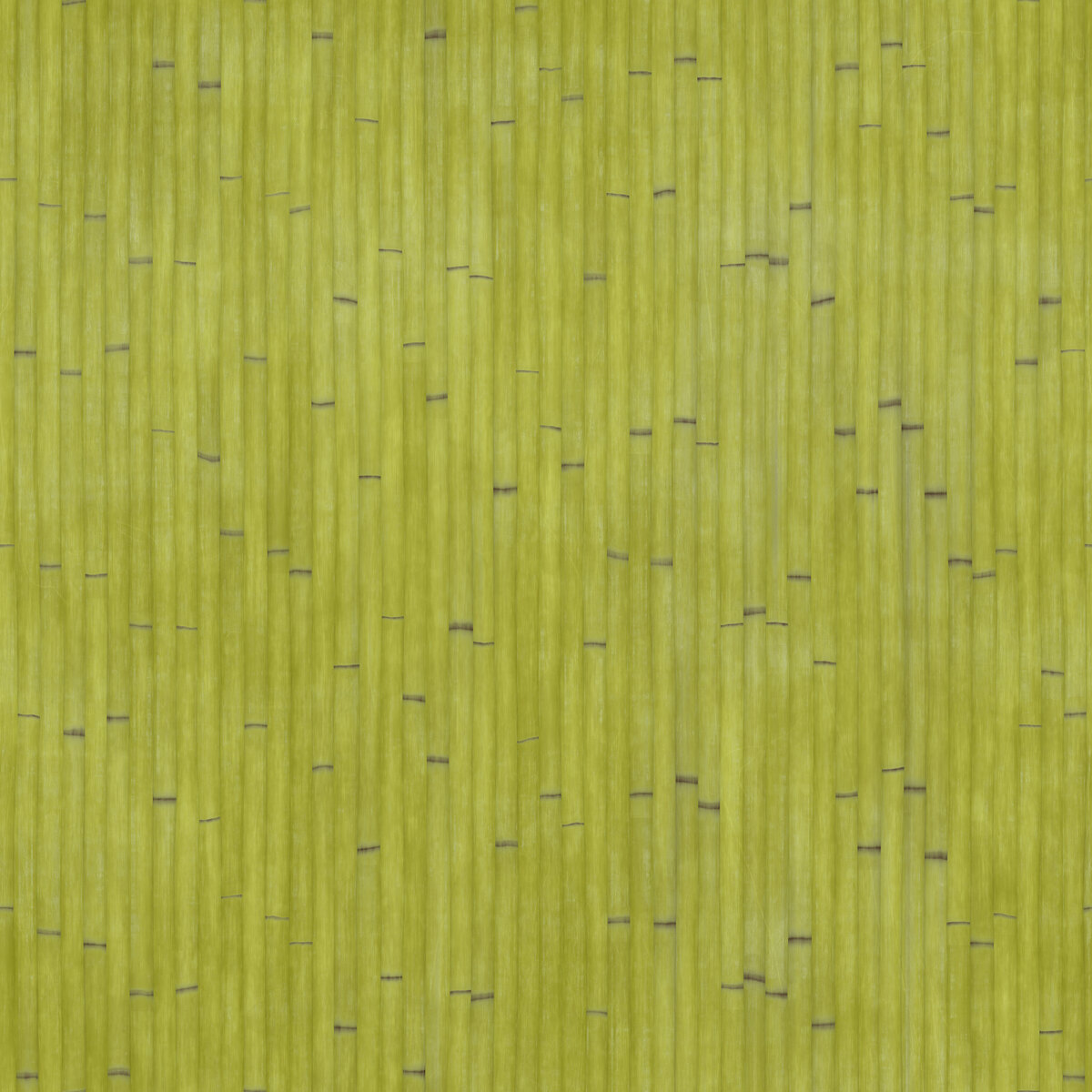 Bamboo 002 A Texture