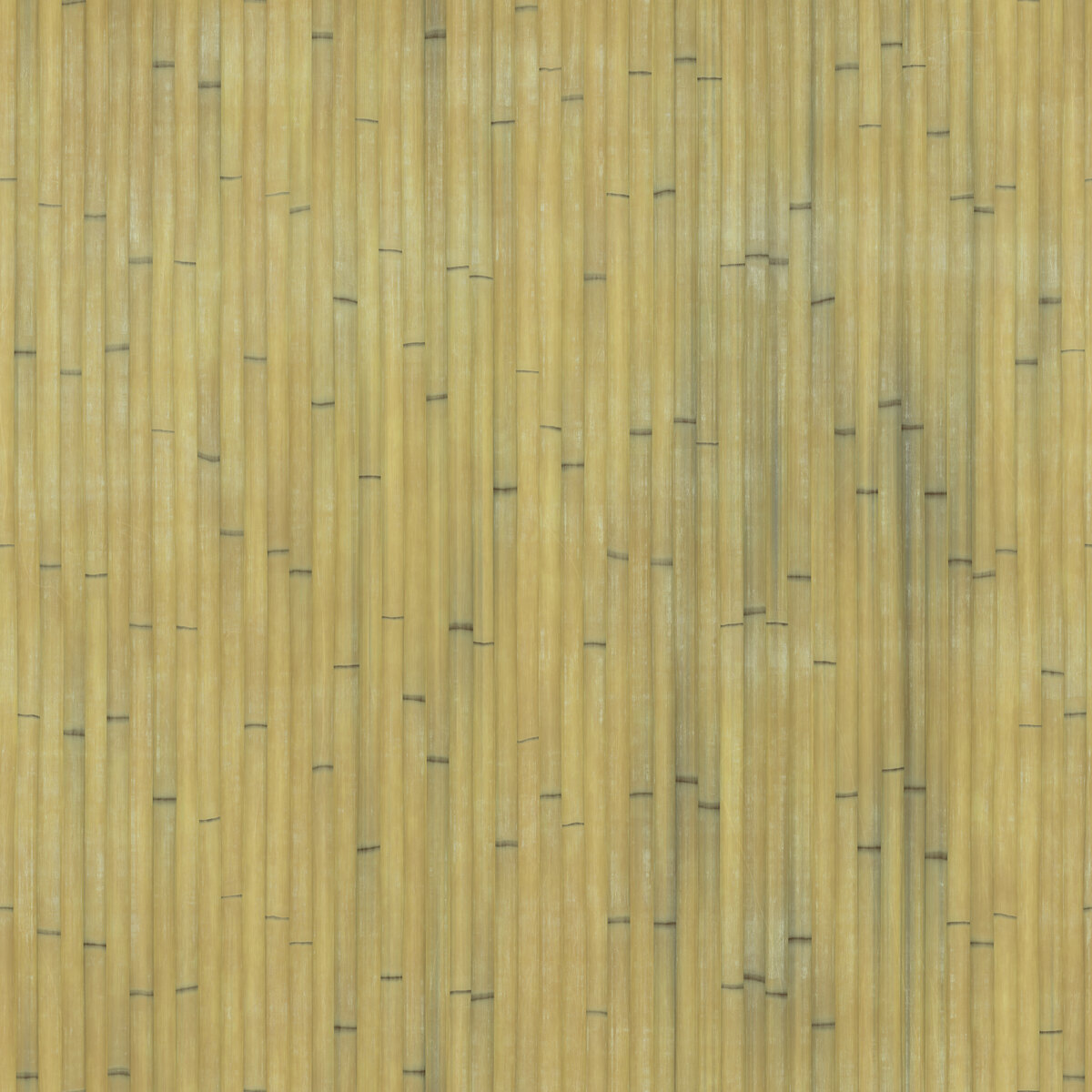 Bamboo 002 B Texture