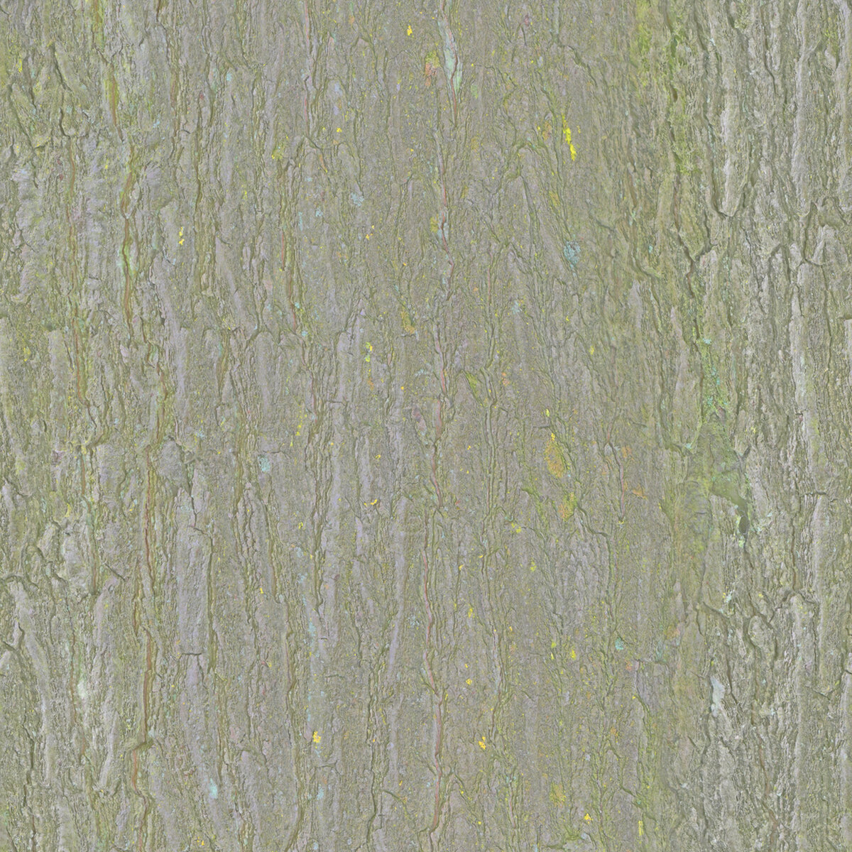 Bark 011 Texture