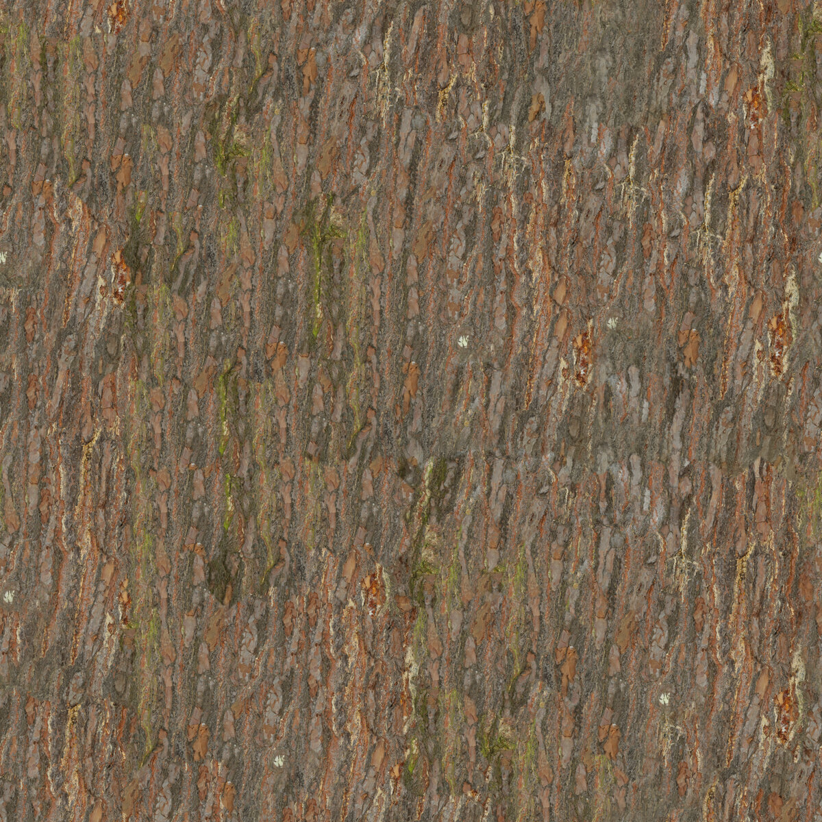 Bark 014 Texture