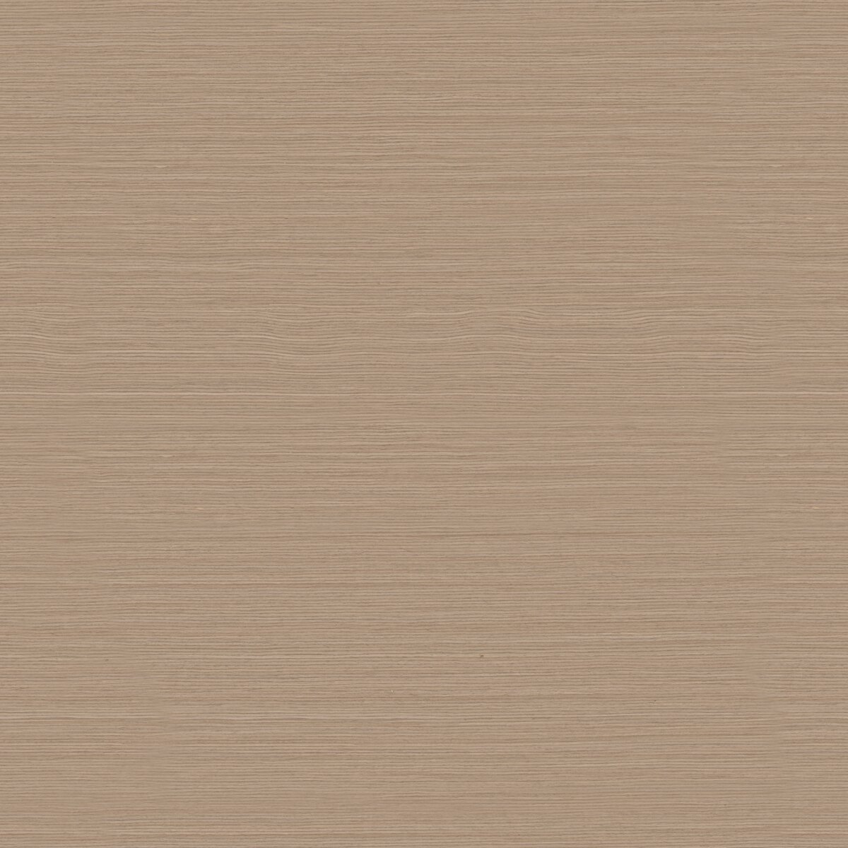 Black Walnut Veneer 01 Texture