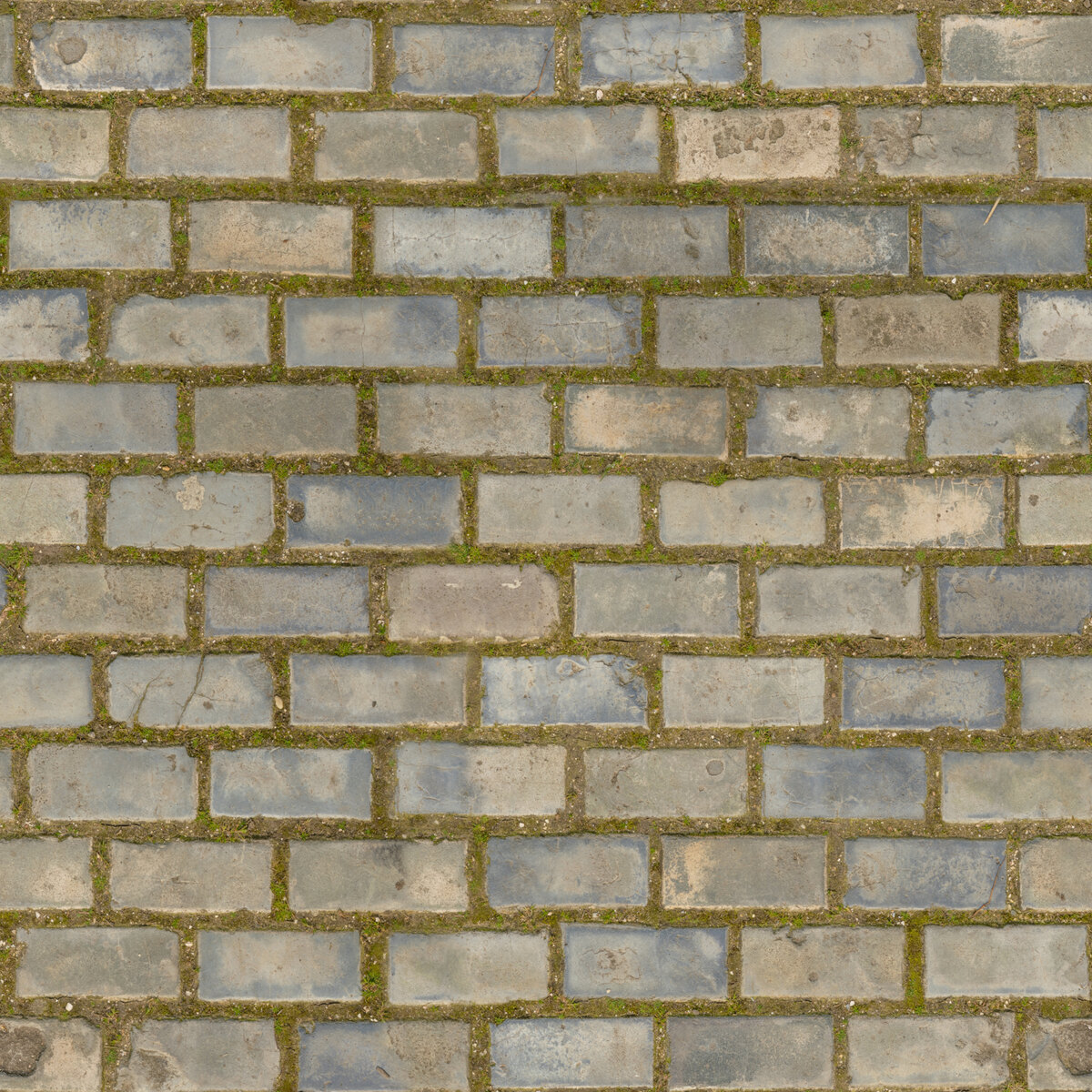 Blue Floor Tiles 01 Texture