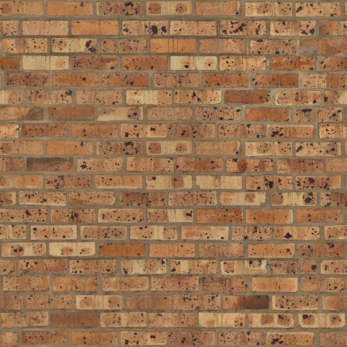 Brick Wall 07 Texture