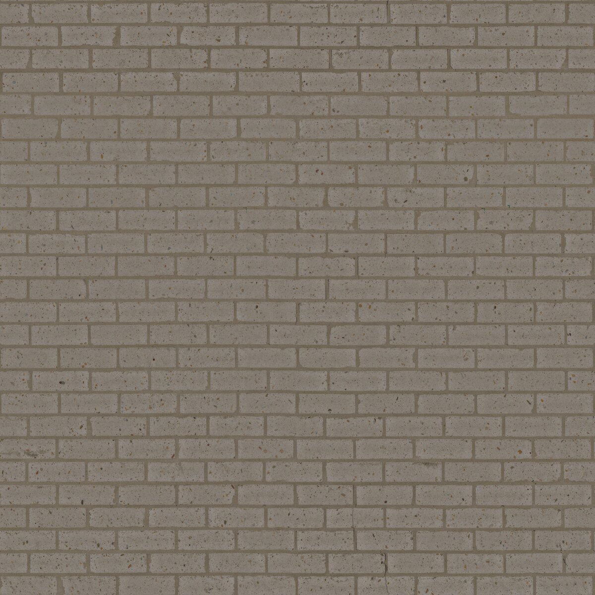 Brick Wall 13 Texture