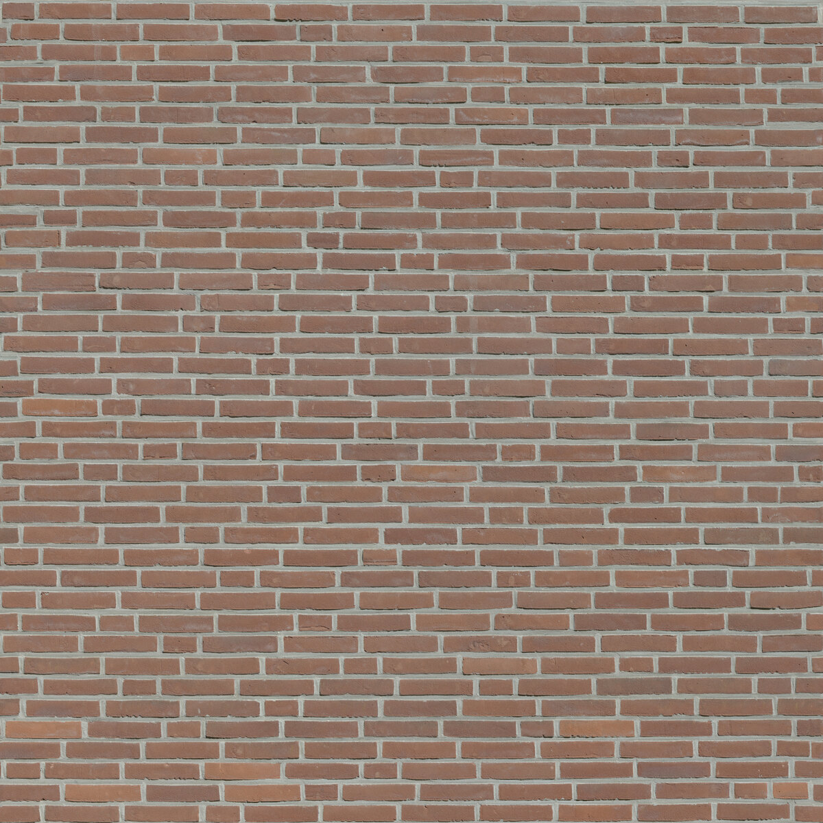 Bricks 009 Texture