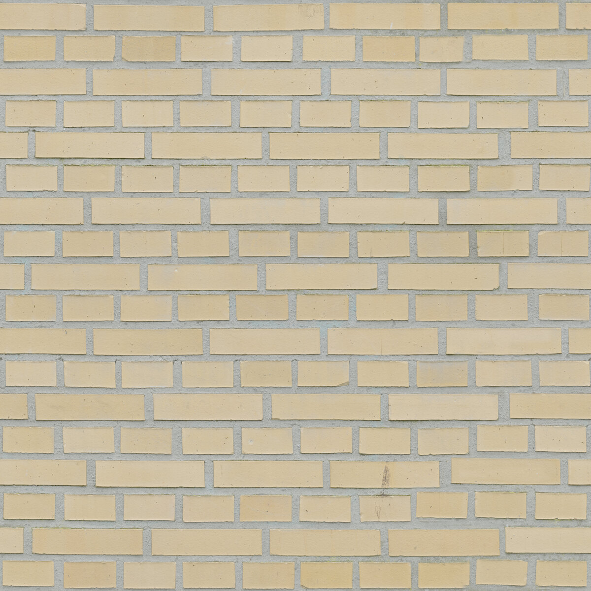 Bricks 053 Texture
