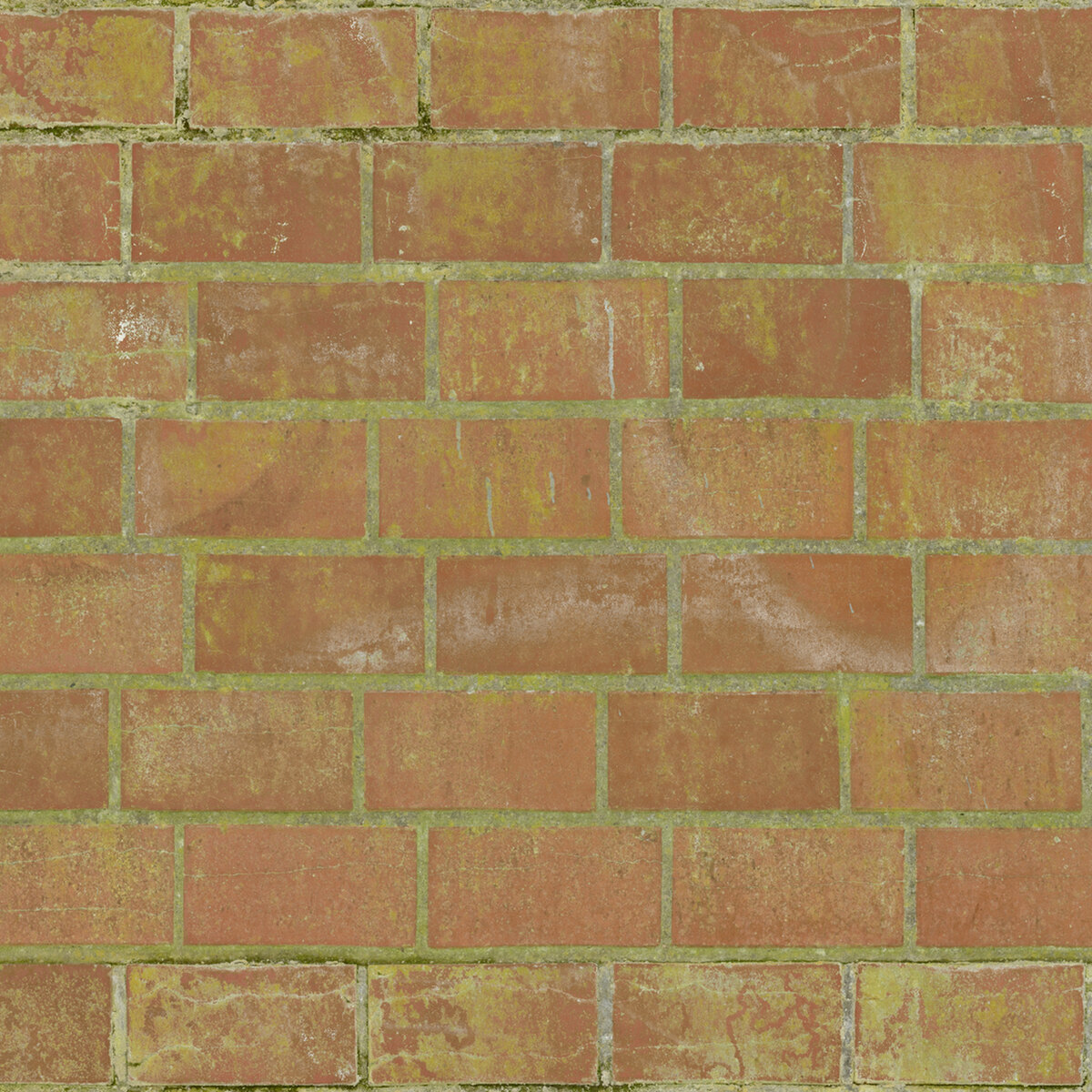 Bricks 079 Texture