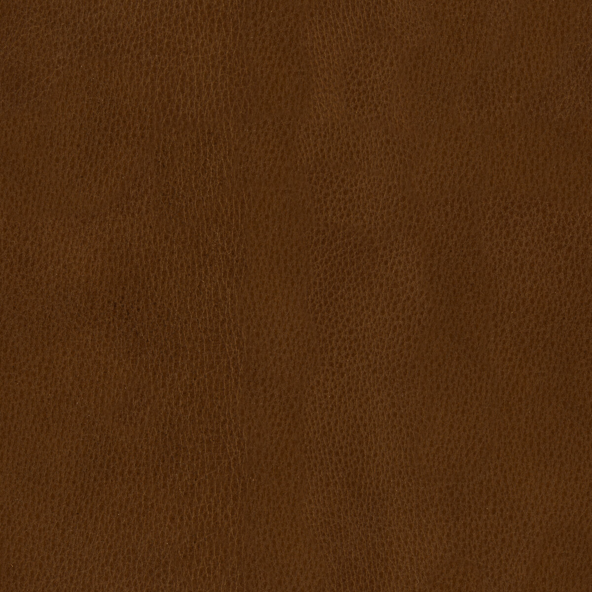 Brown Leather Texture