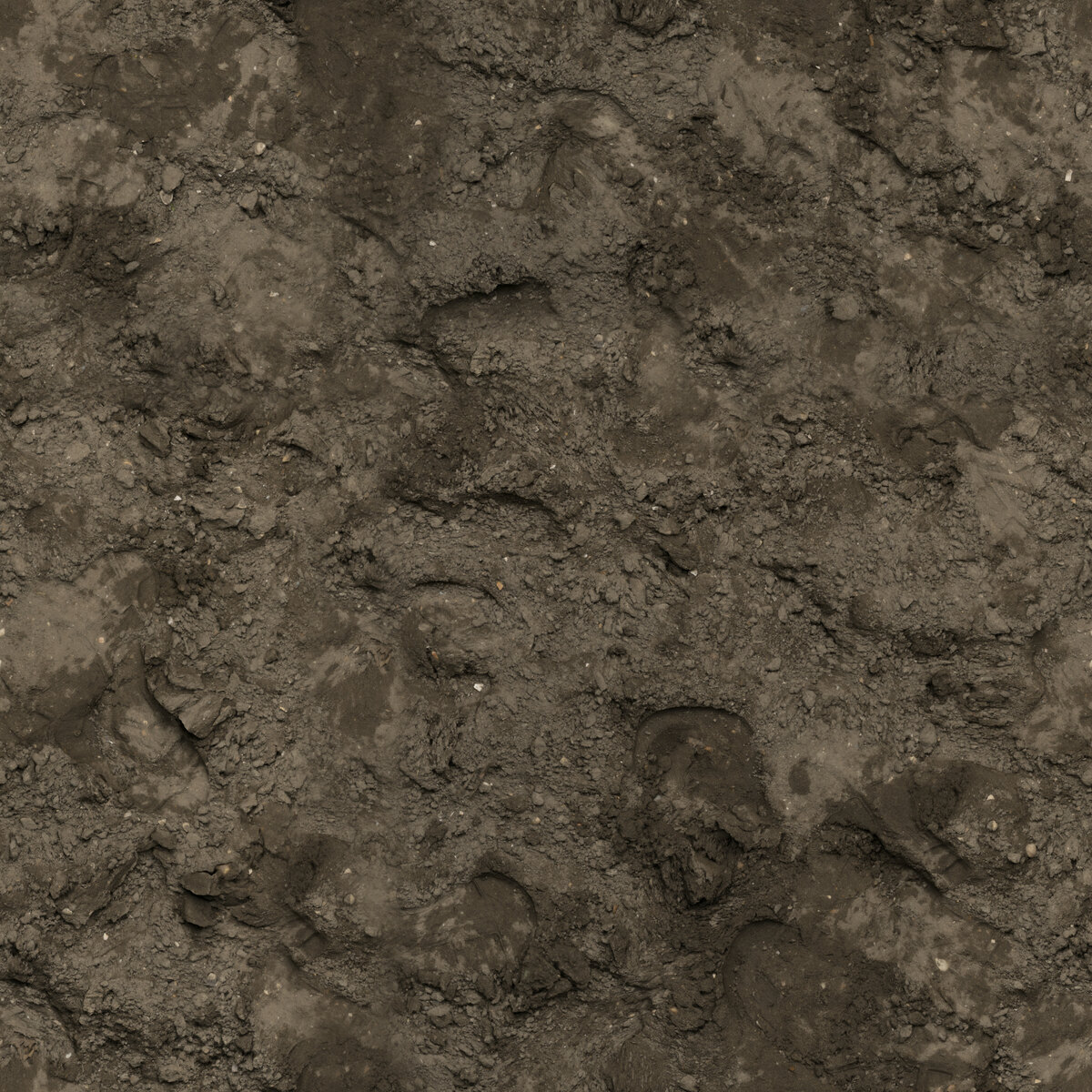 Brown Mud 03 Texture