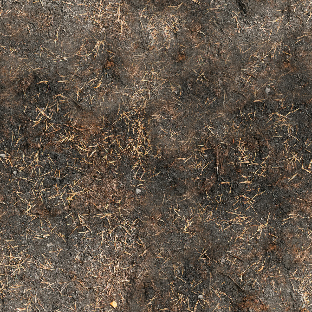 Burned Ground 01 Texture