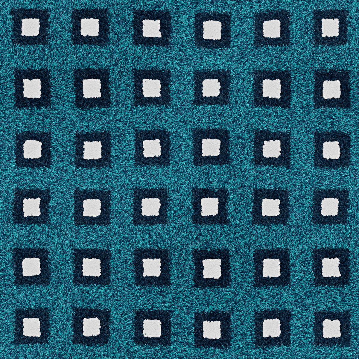 Carpet 005 Texture