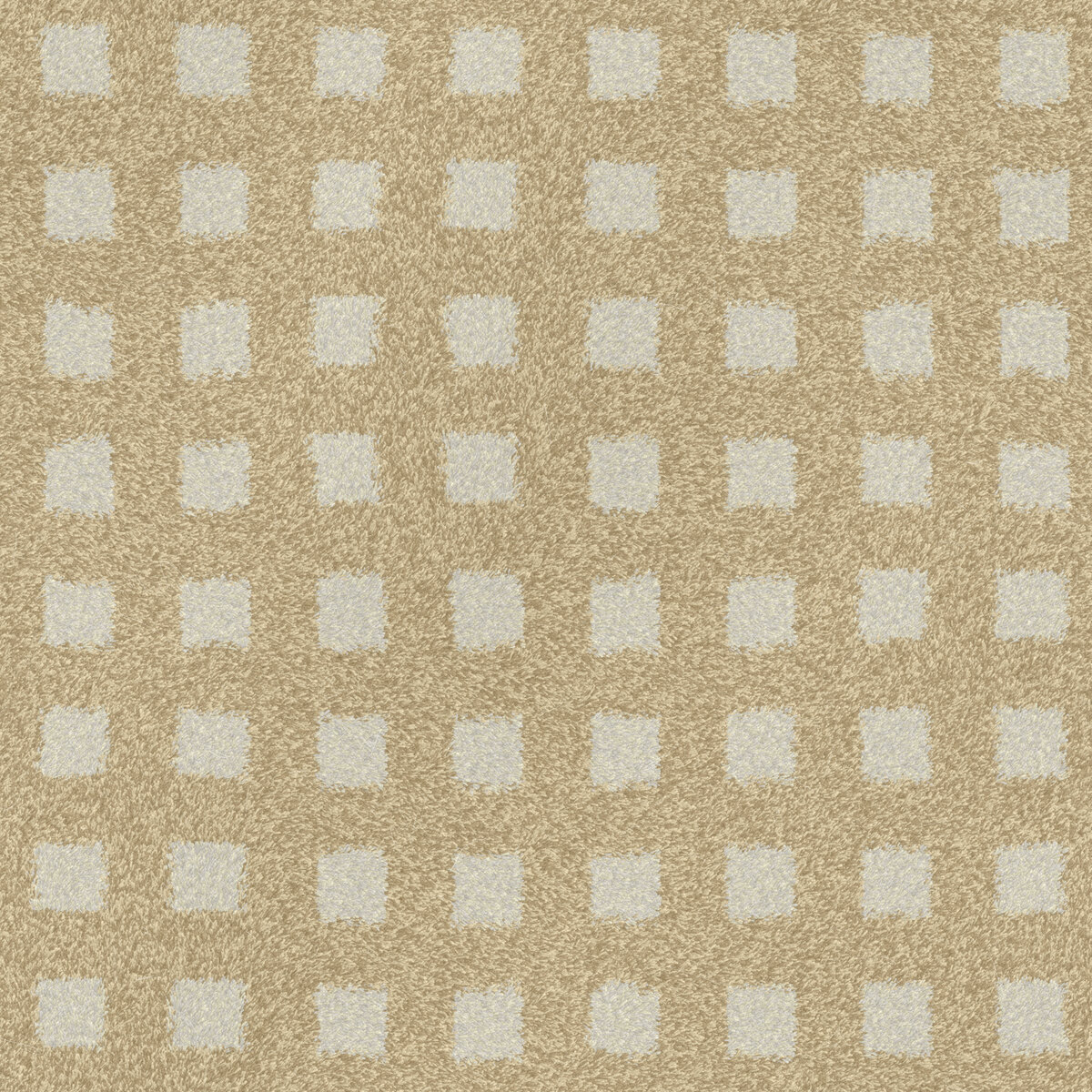 Carpet 009 Texture