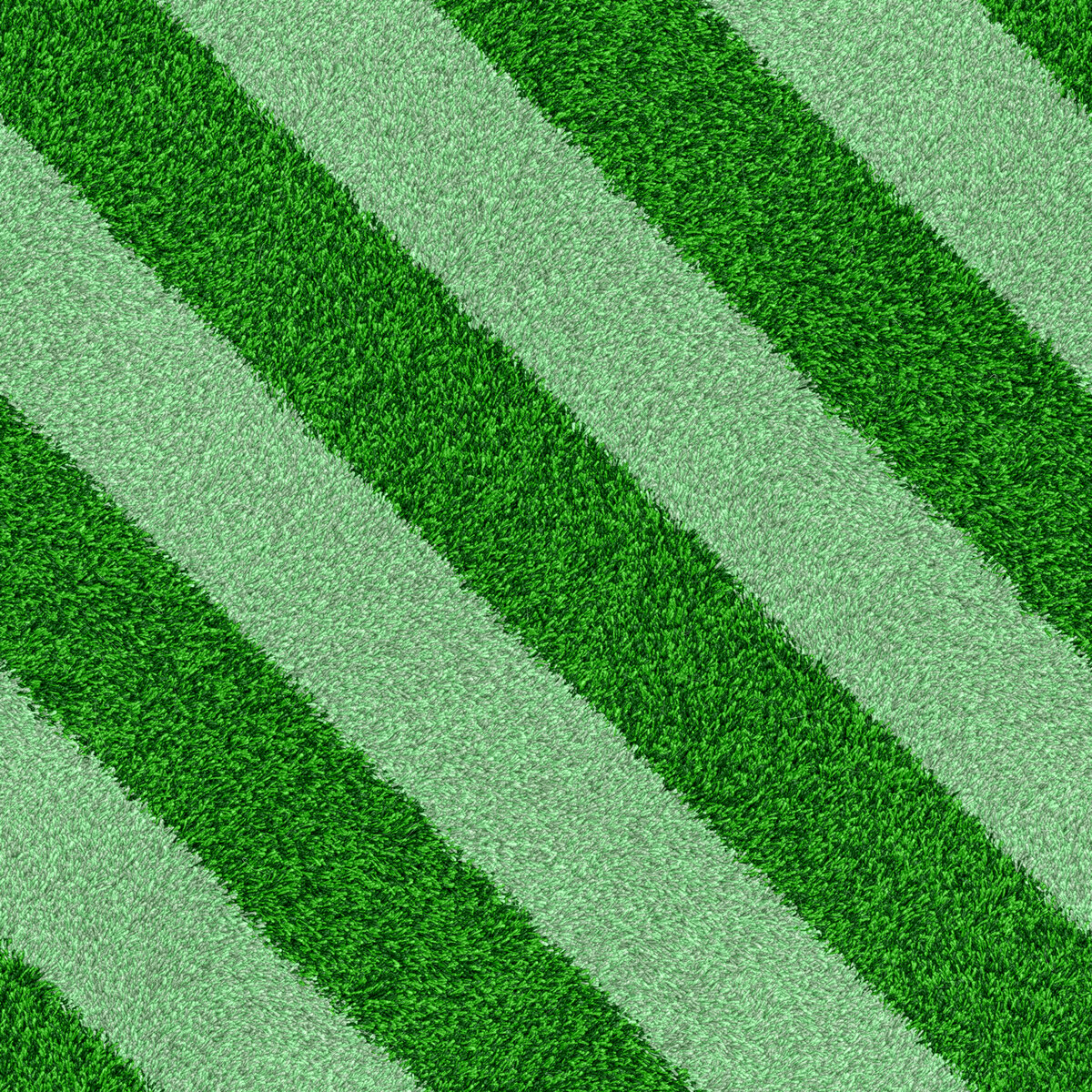 Carpet 010 Texture