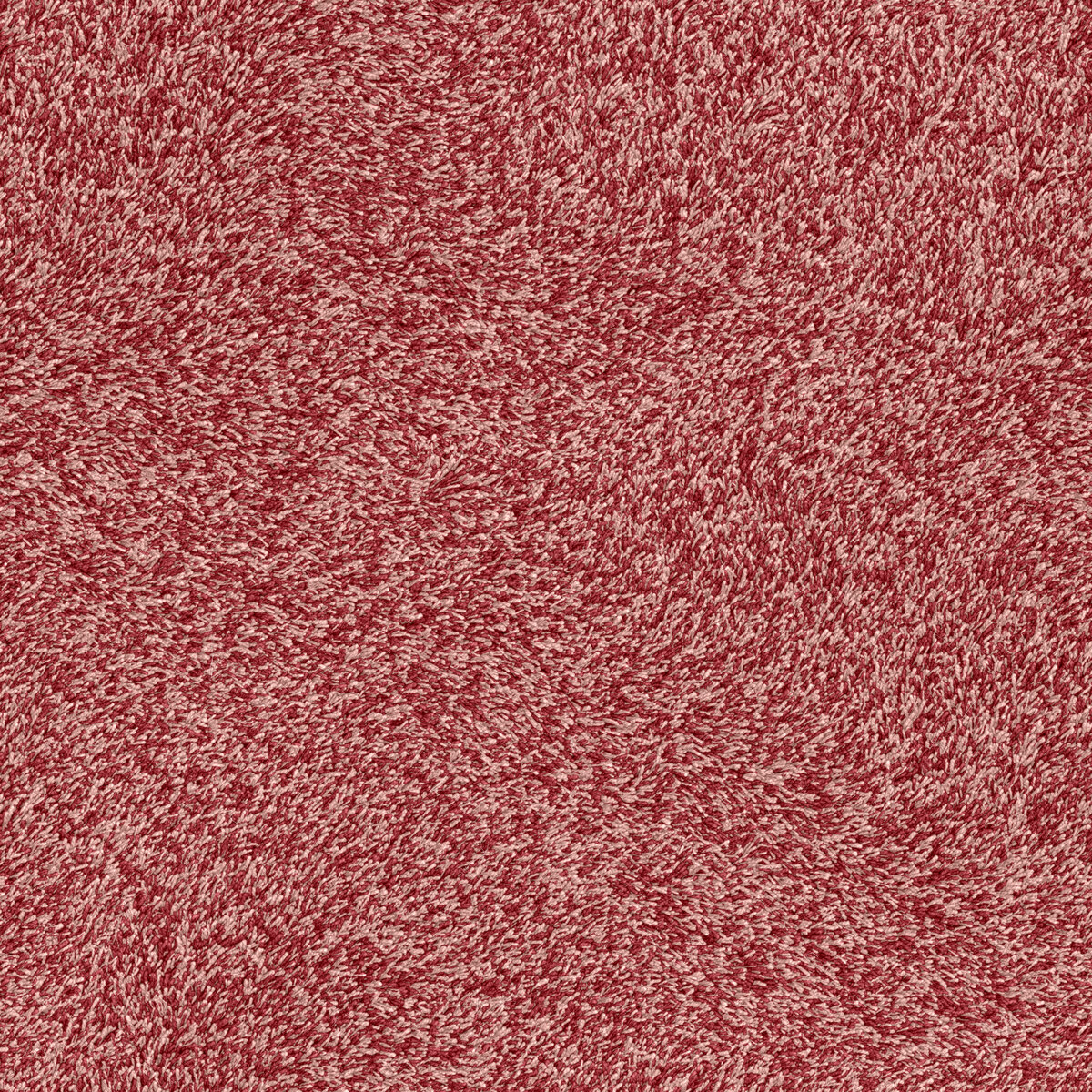 Carpet 013 Texture