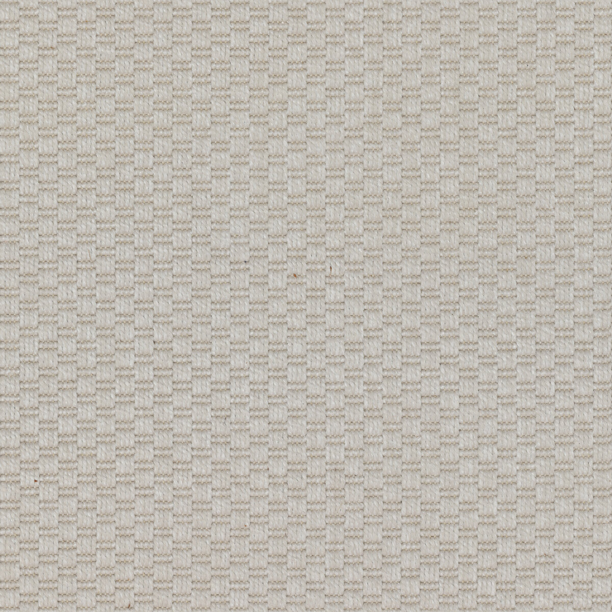 Carpet 014 Texture