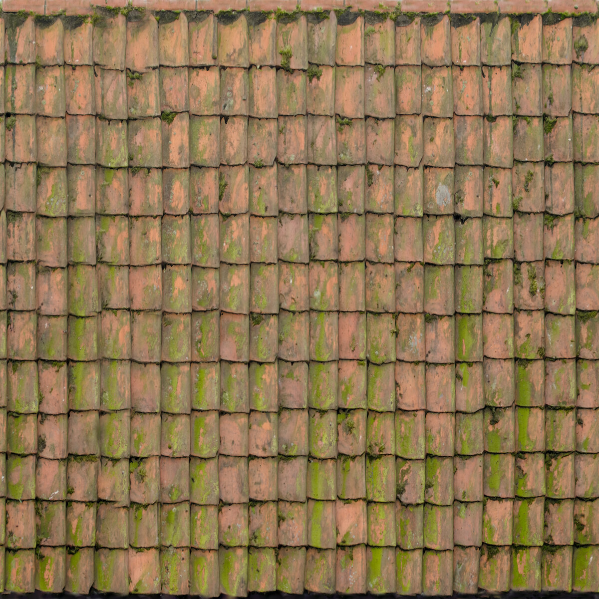 Ceramic Roof 01 Texture