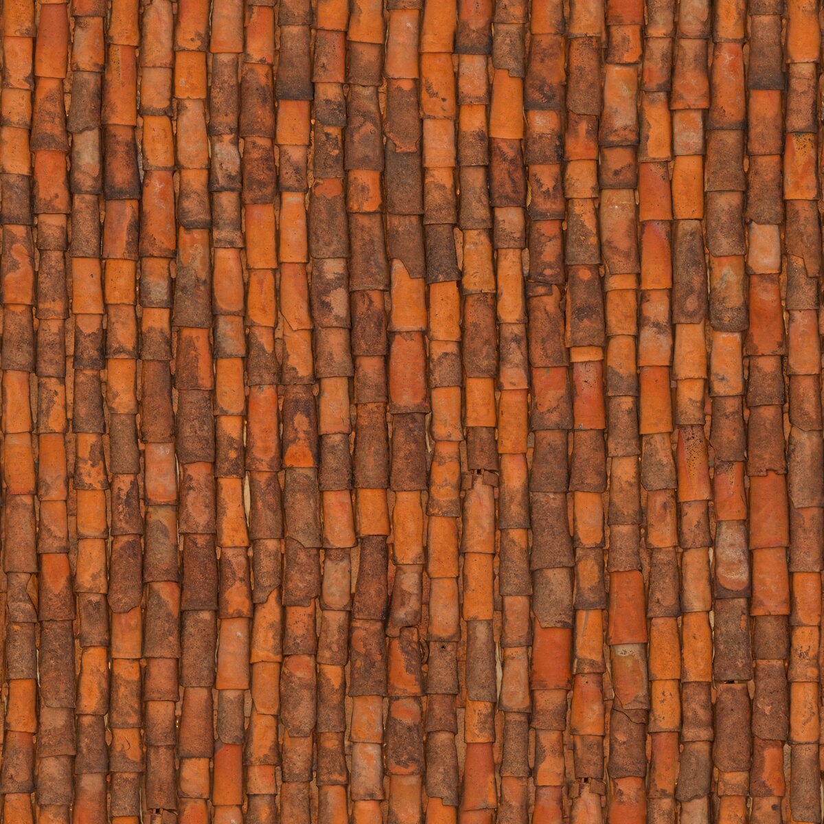 Clay Roof Tiles 02 Texture