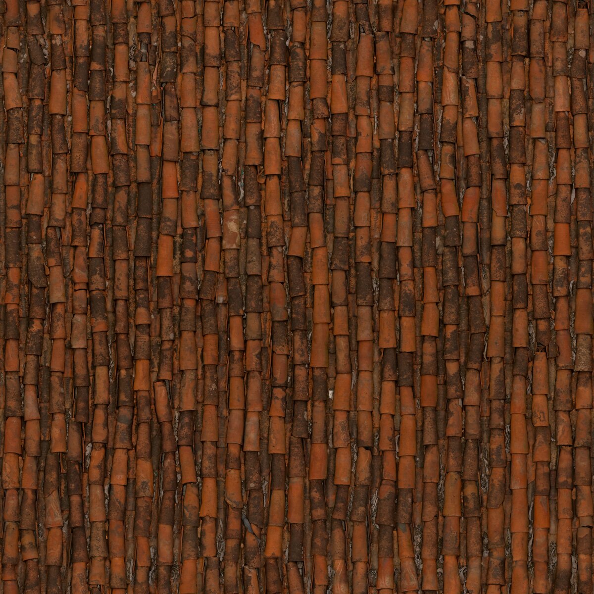Clay Roof Tiles Texture