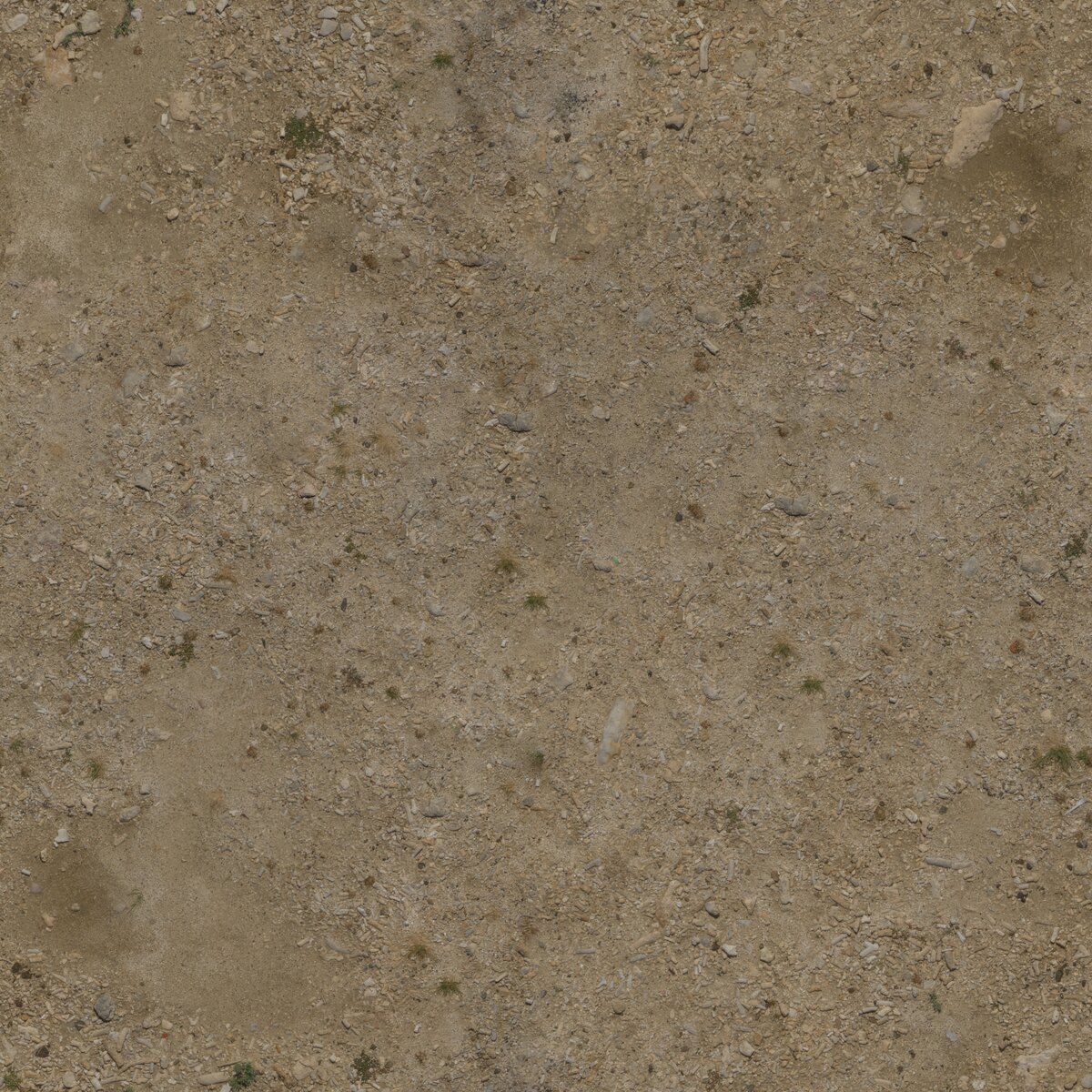 Coast Sand 01 Texture