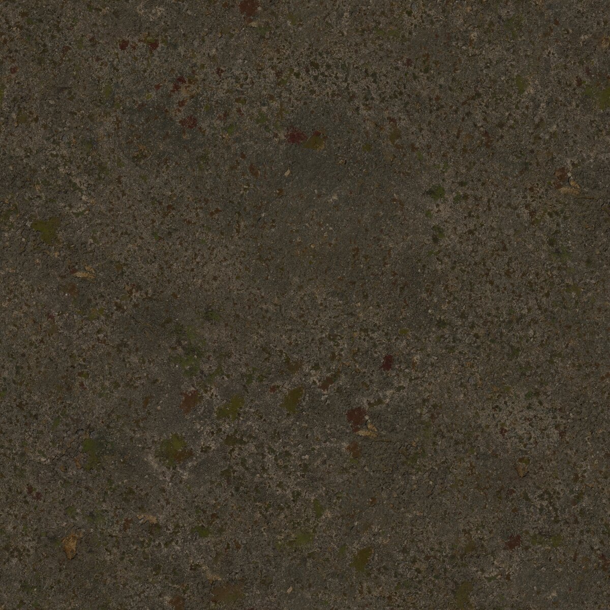 Coast Sand 05 Texture