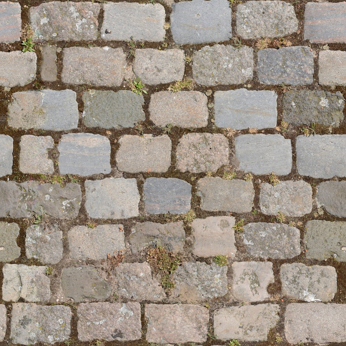 Cobblestone Color Texture