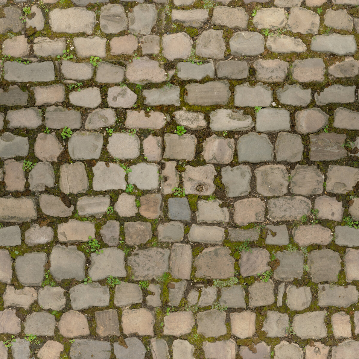 Cobblestone Floor 04 Texture