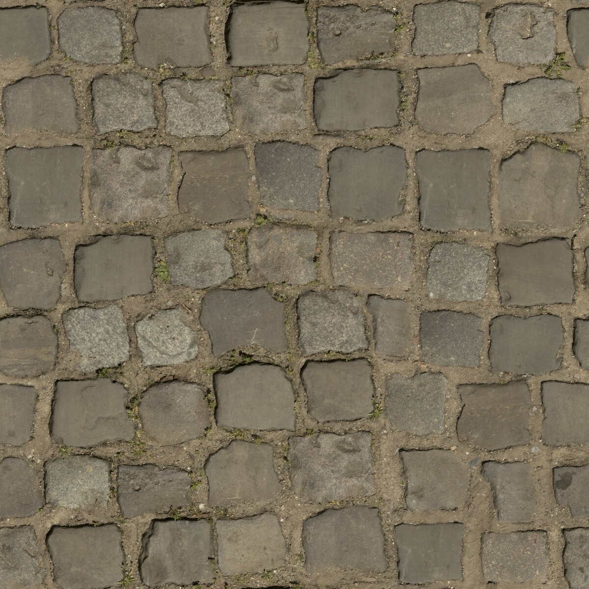 Cobblestone Floor 05 Texture
