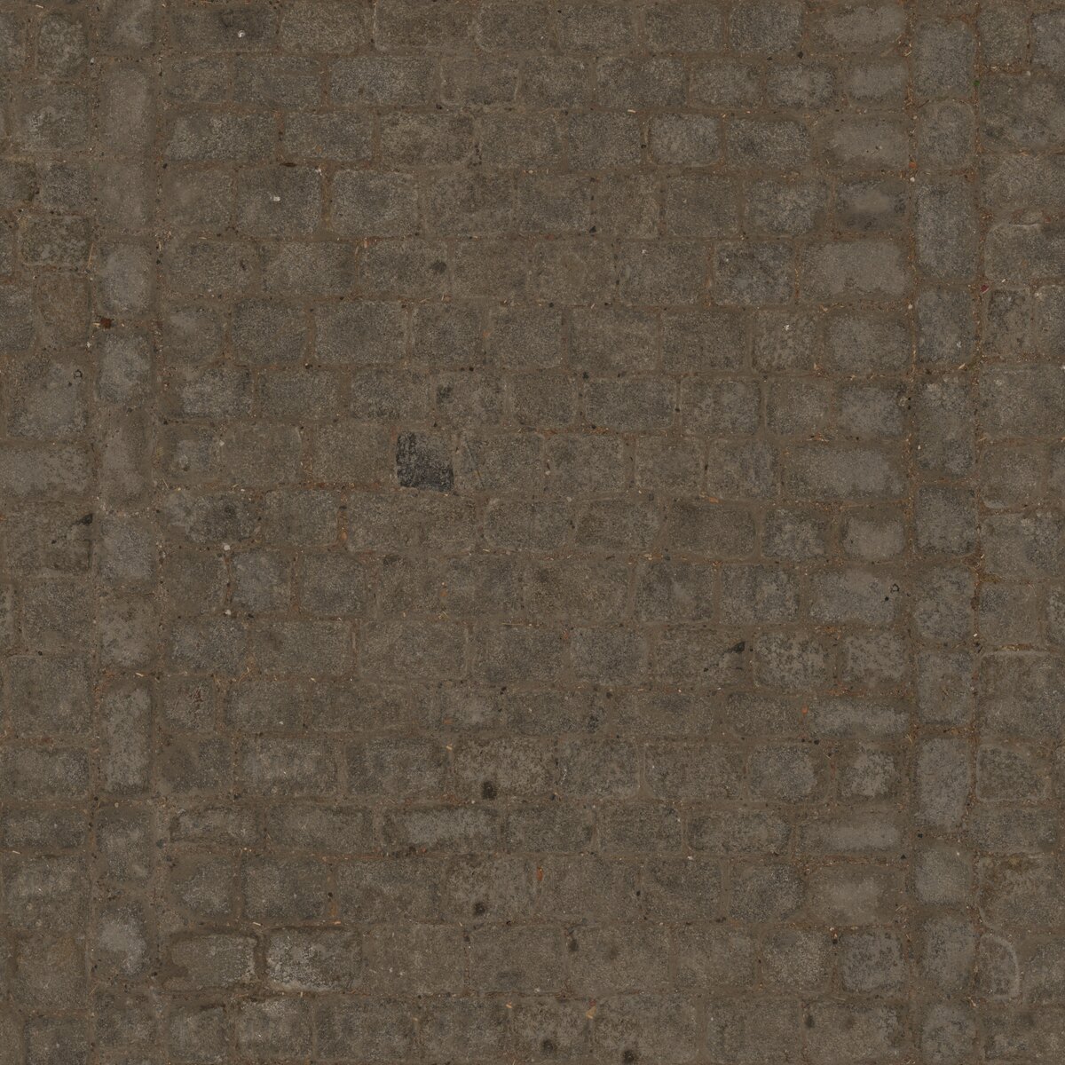 Cobblestone Floor 09 Texture