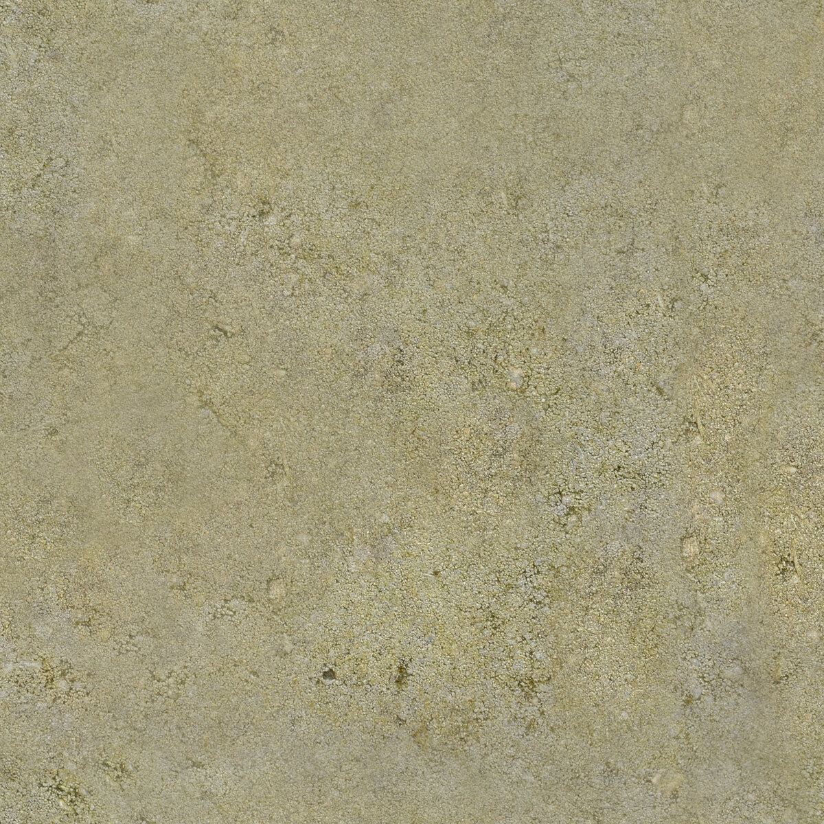 Concrete 001 Texture