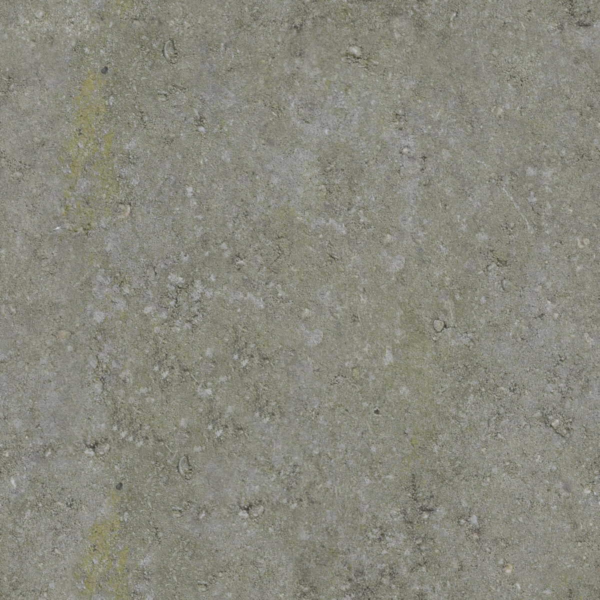 Concrete 005 Texture