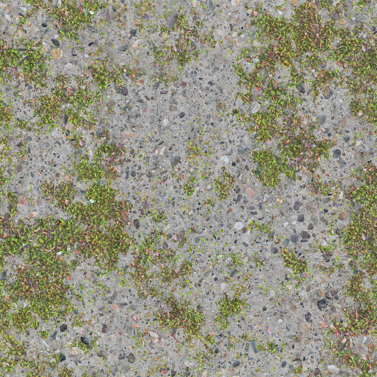 Concrete 026 Texture