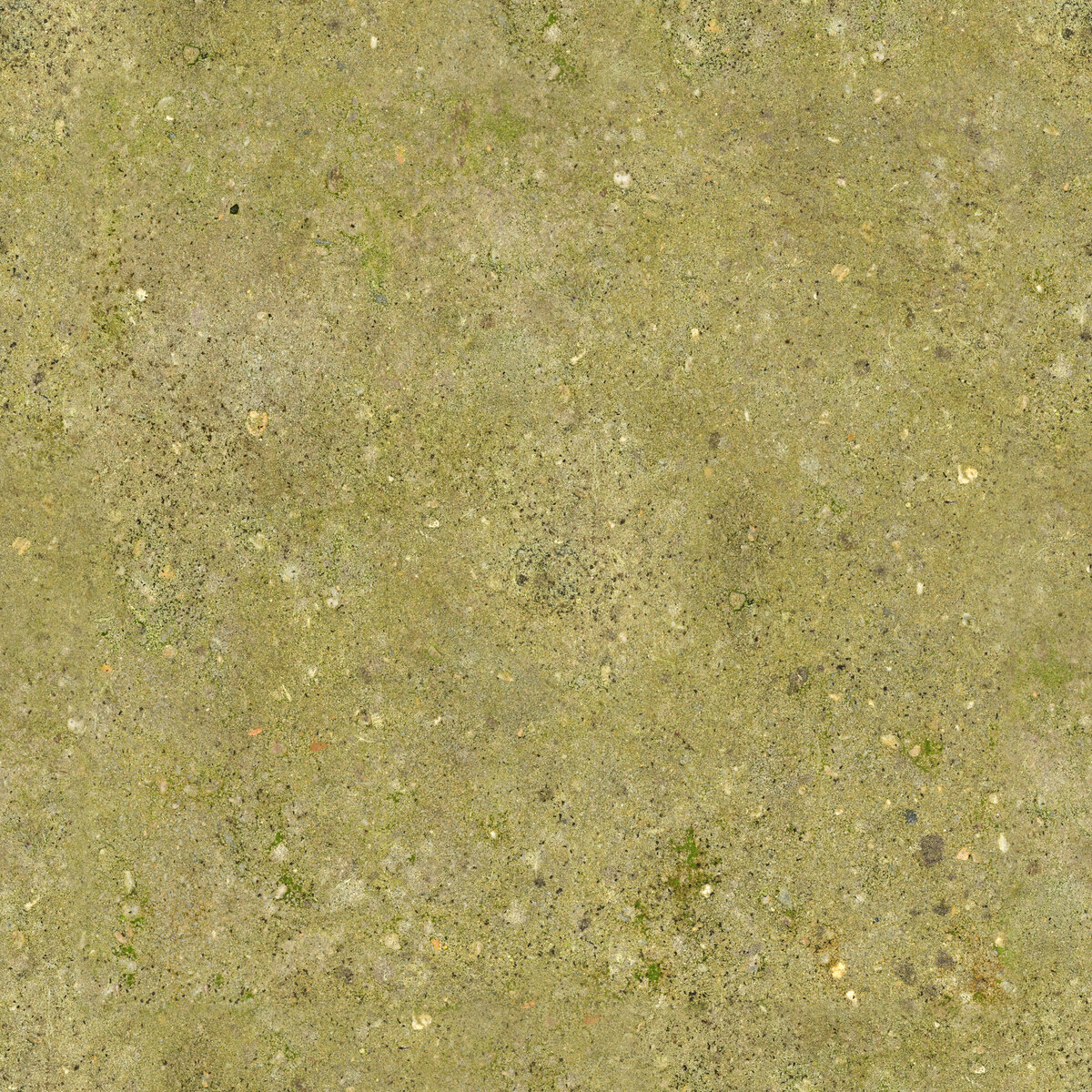 Concrete 038 Texture