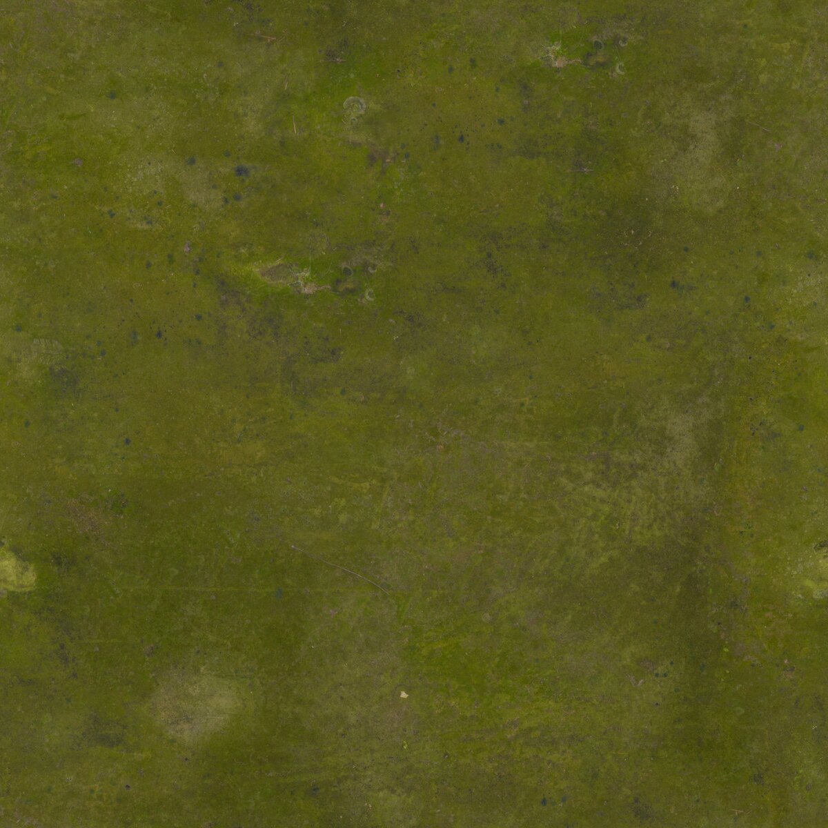 Concrete Moss Texture