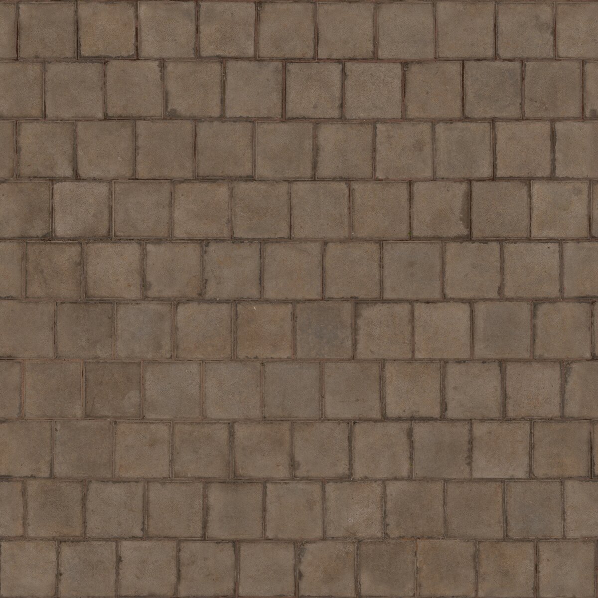 Concrete Pavers 02 Texture