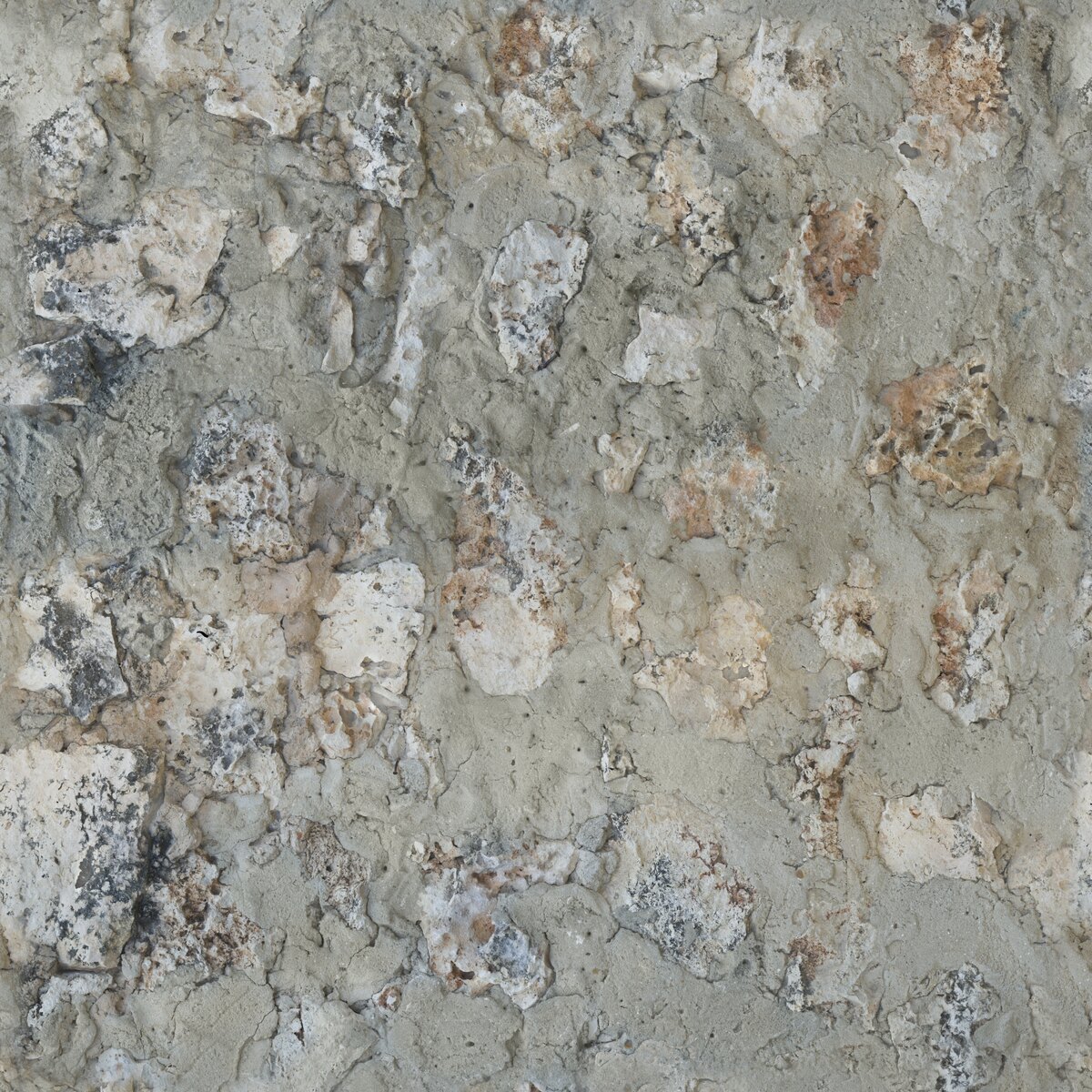 Coral Fort Wall 01 Texture