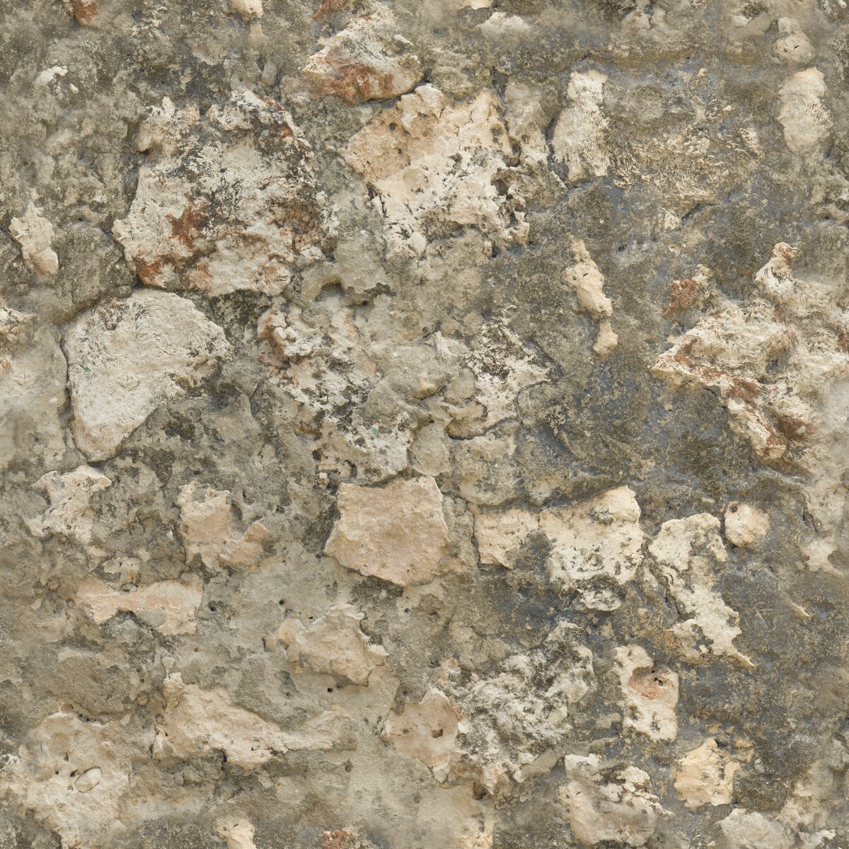 Coral Fort Wall 02 Texture