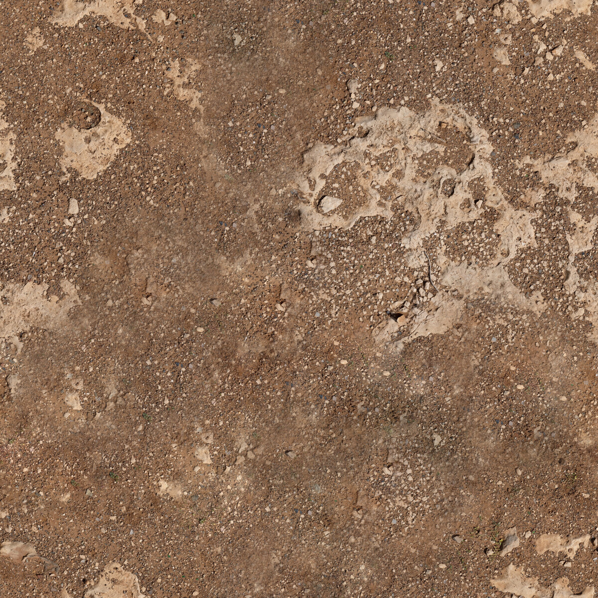 Coral Gravel Texture