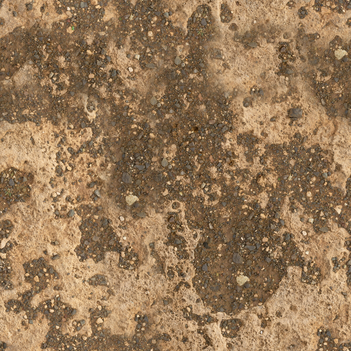Coral Ground 02 Texture