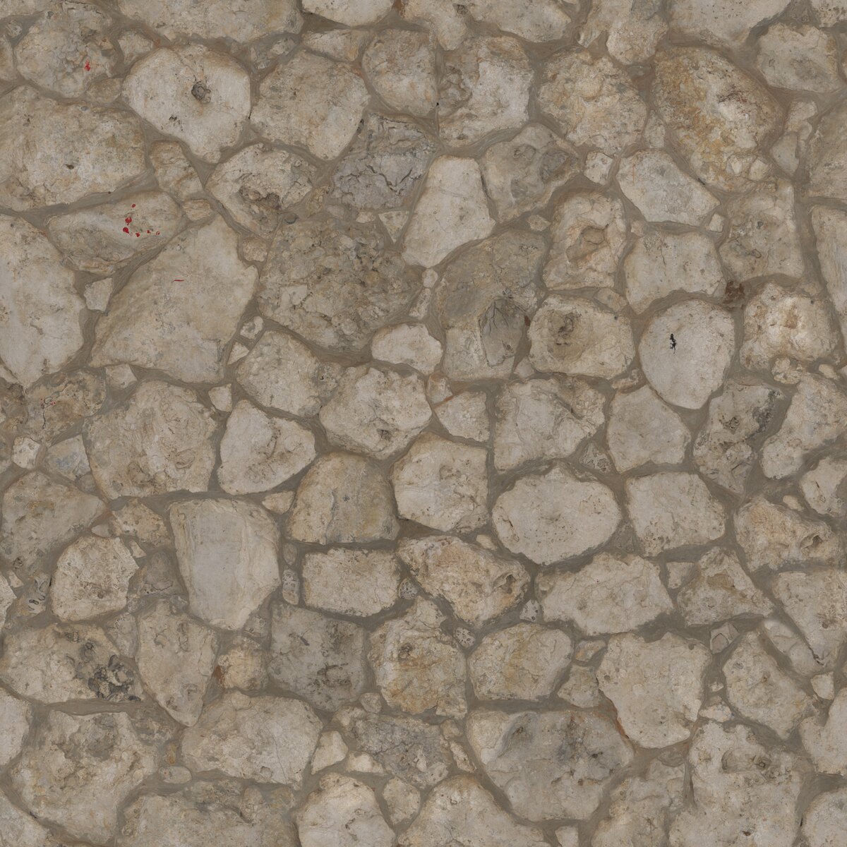 Coral Stone Wall Texture
