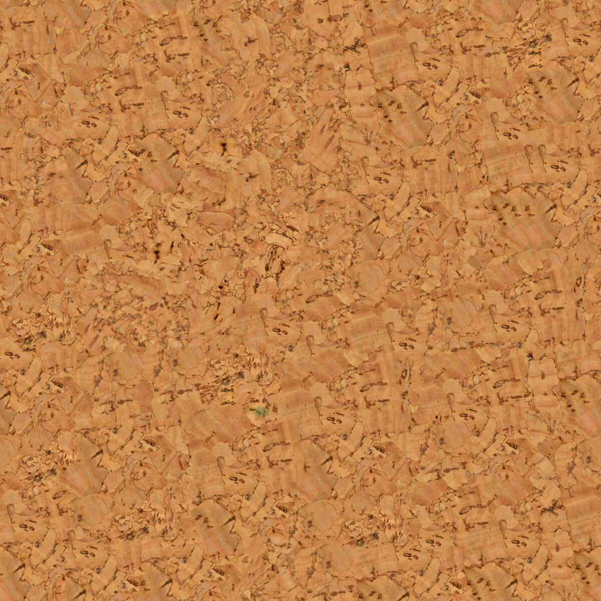 Cork 003 Texture