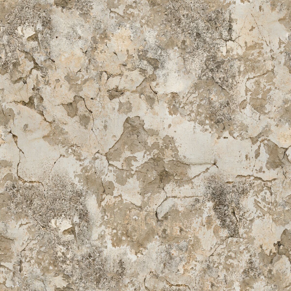 Cracked Concrete Wall Texture