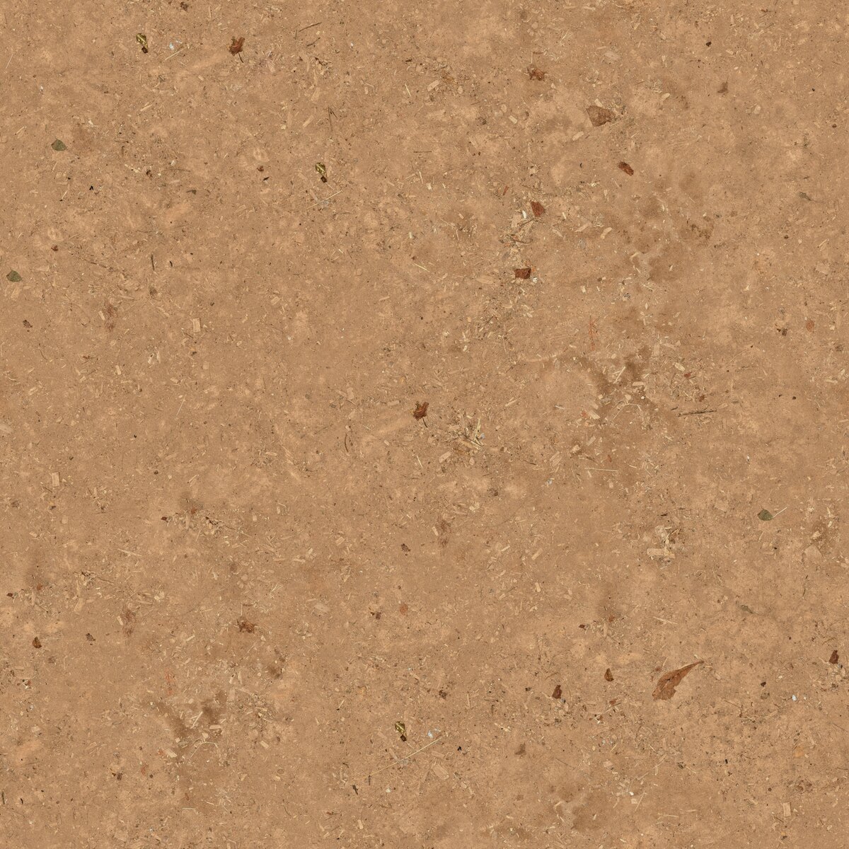Dirt Floor Texture