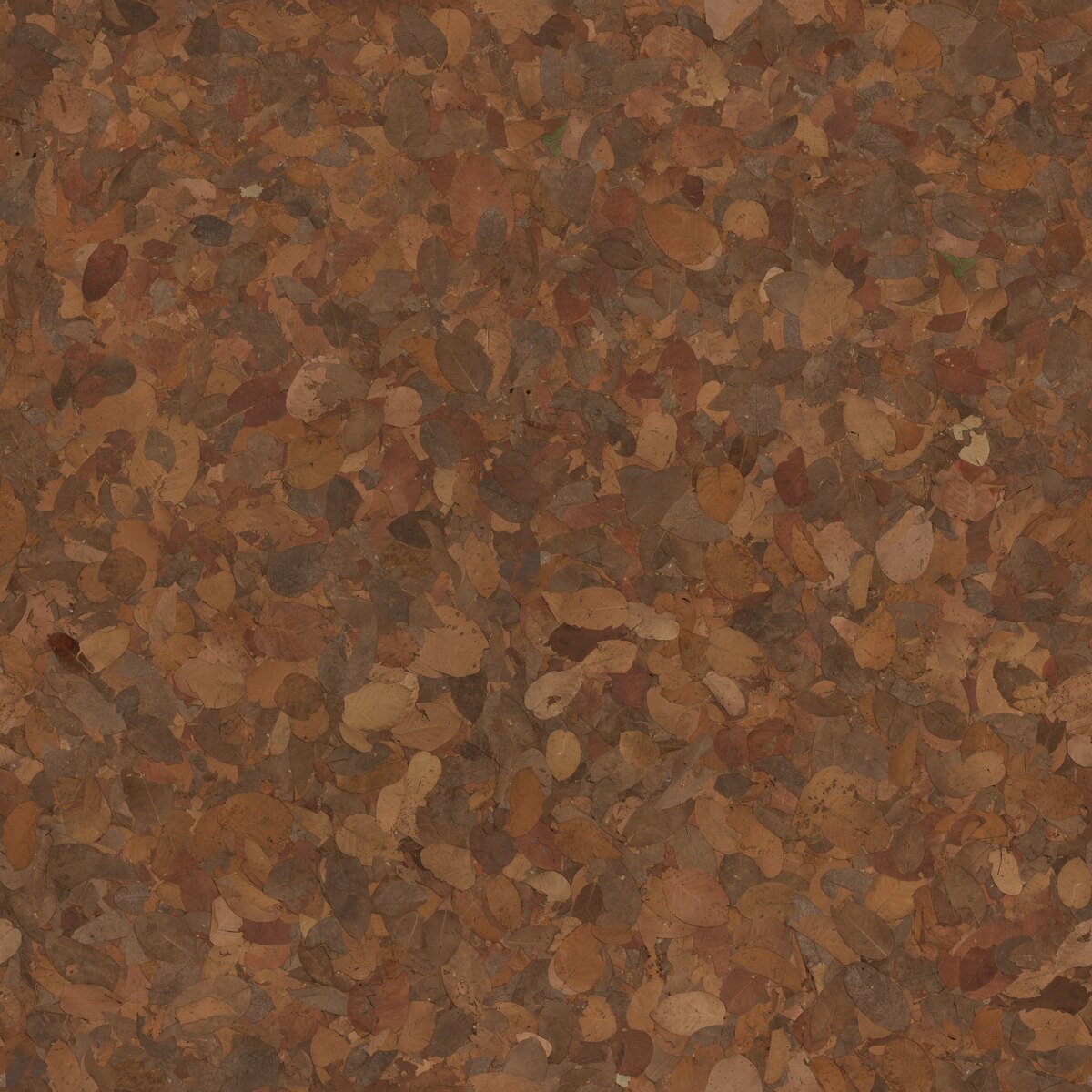 Dry Decay Leaves Texture