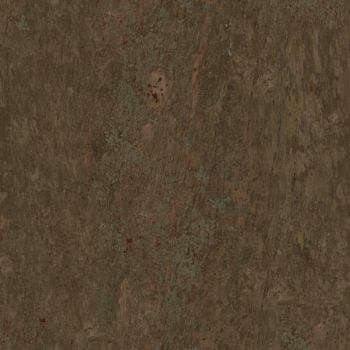 Eucalyptus Bark Texture