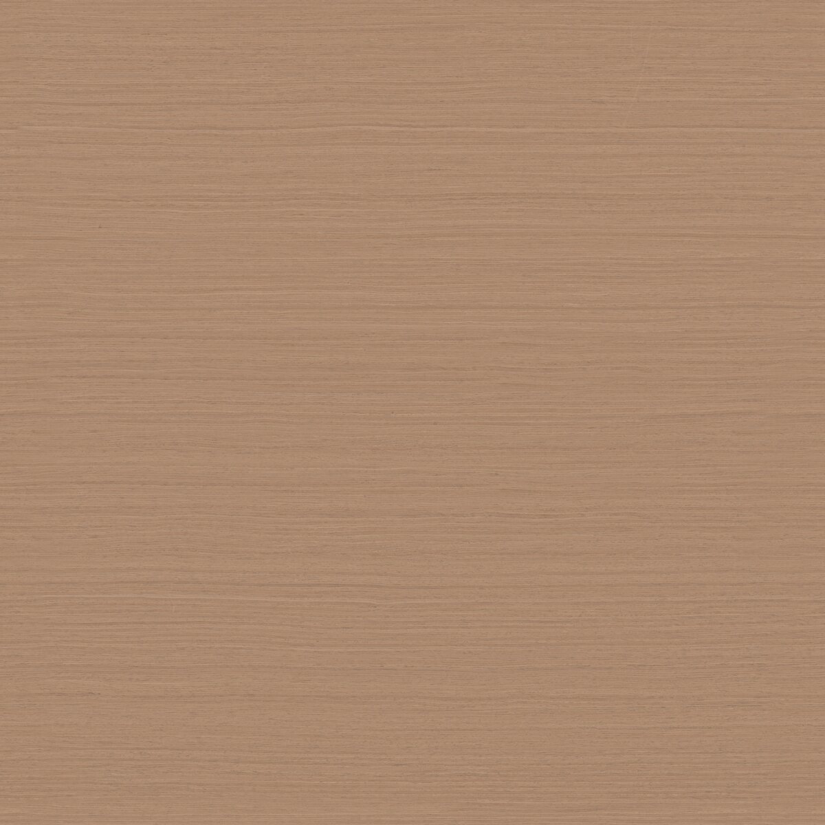European Walnut Veneer 04 Texture
