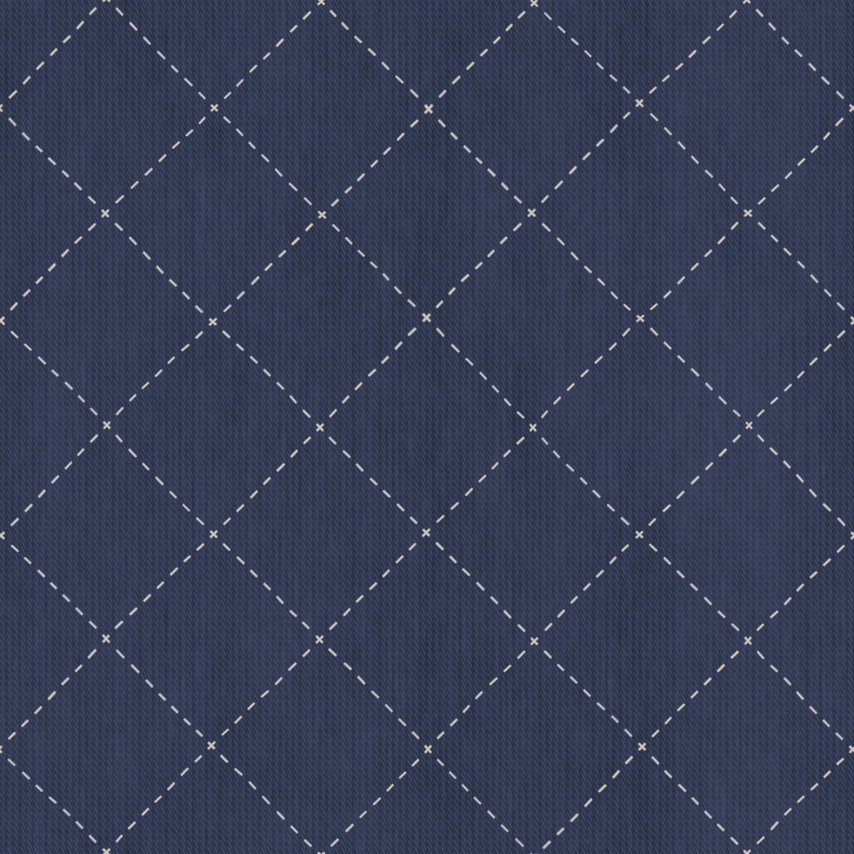 Fabric 007 Texture