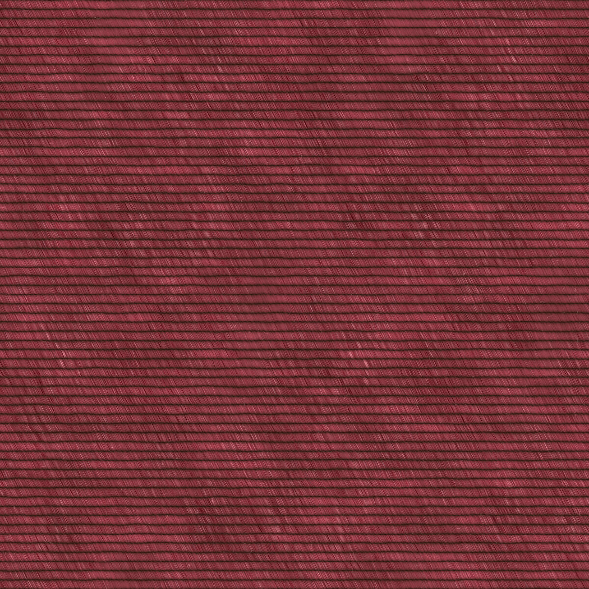 Fabric 026 Texture